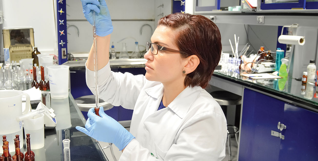 Stein Corp, estrategia innovadora marca su rumbo