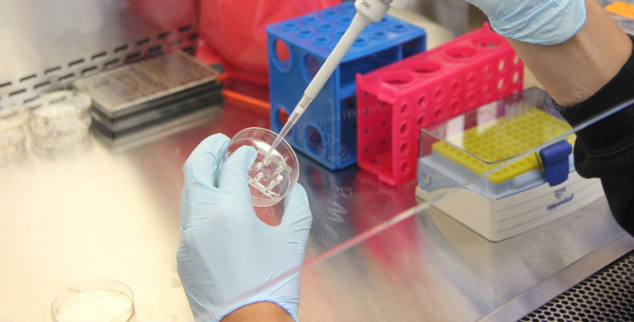 Roche líder de la medicina personalizada