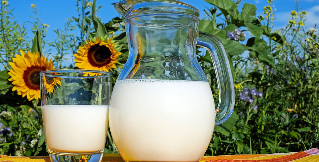 Beneficios de los lácteos en la salud