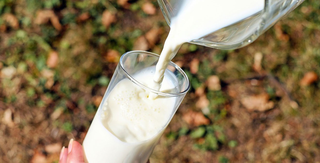 Evolución de la leche en Centroamérica