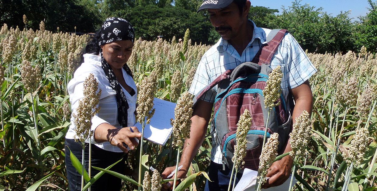 Agricultores en Centroamérica potencian sus negocios con el apoyo de Cargill