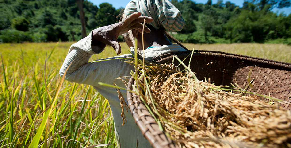SAP líder tecnológico apoya políticas ambientales en la región