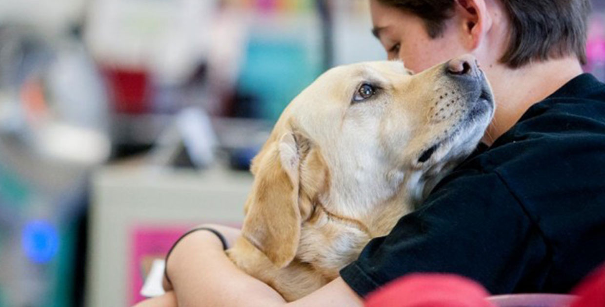 Cena Benéfica en pro de los animales le espera este fin de semana en Quepos
