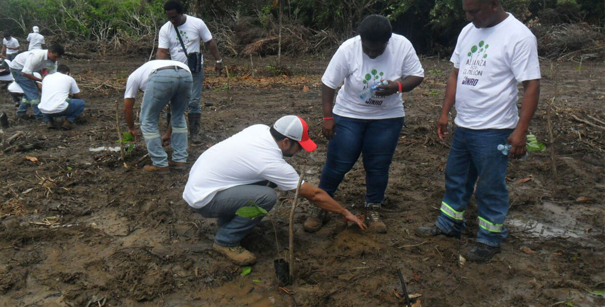 Jinro Corp. se une a la gran jornada de reforestación en Panamá