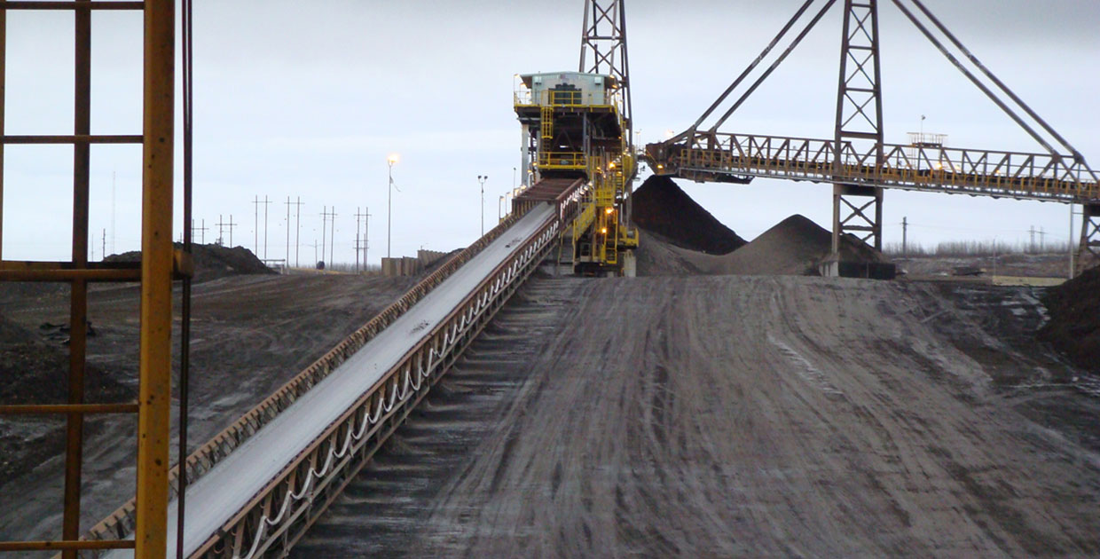 Llamasa mejora industria de Guatemala