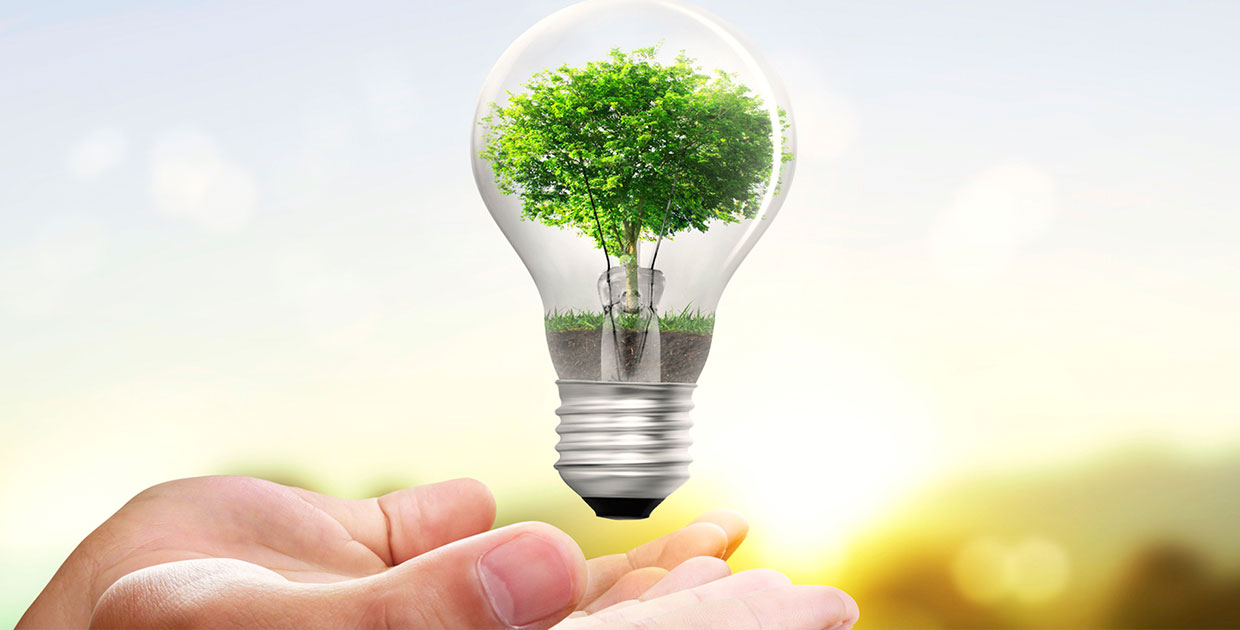 Cuide el planeta siguiendo estos tips para ahorrar agua y luz