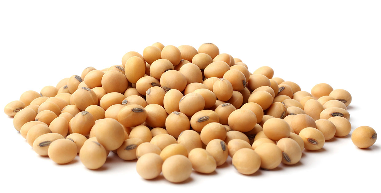 La proteína de soya ayuda a mantener los musculos fuertes