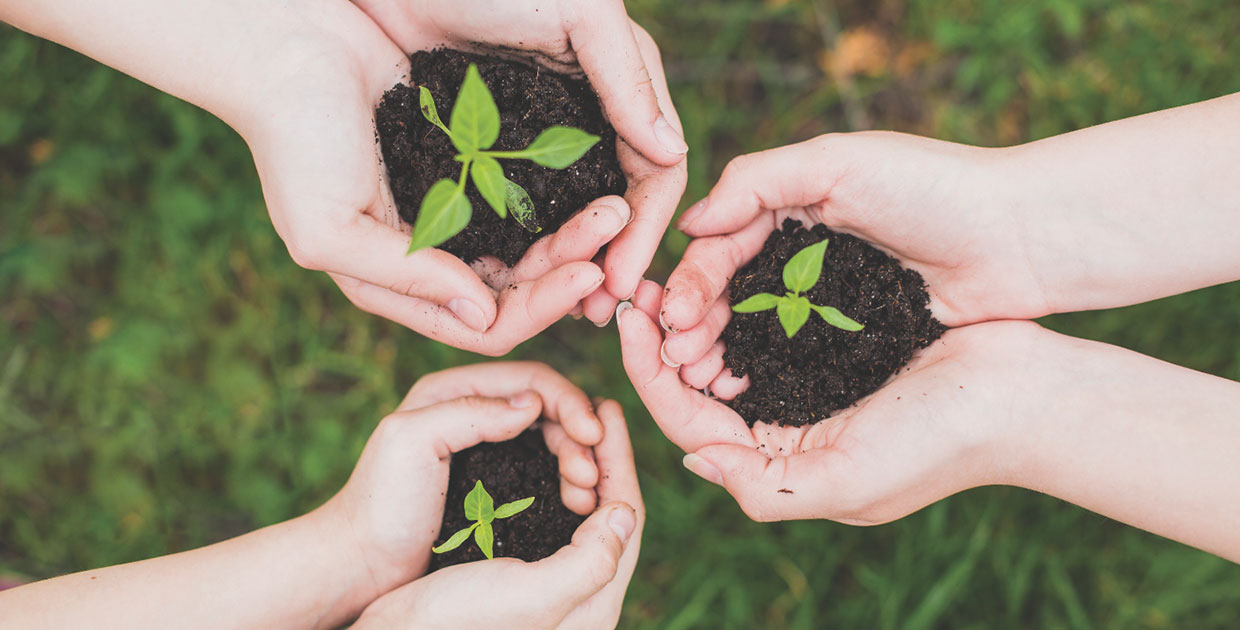 Banco Nacional de Costa Rica, Estrategia para perdurar en el tiempo