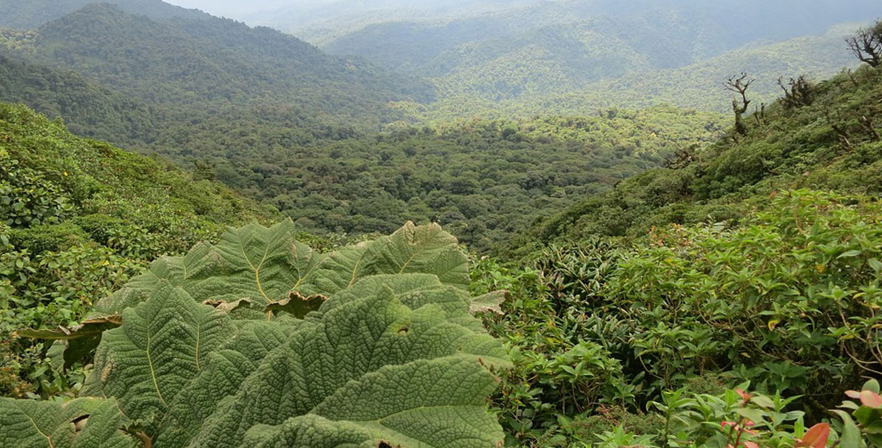 Costa Rica es uno de los principales destinos ecoturísticos del mundo