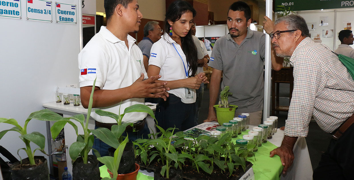 Banpro en Expo Taiwán 2018