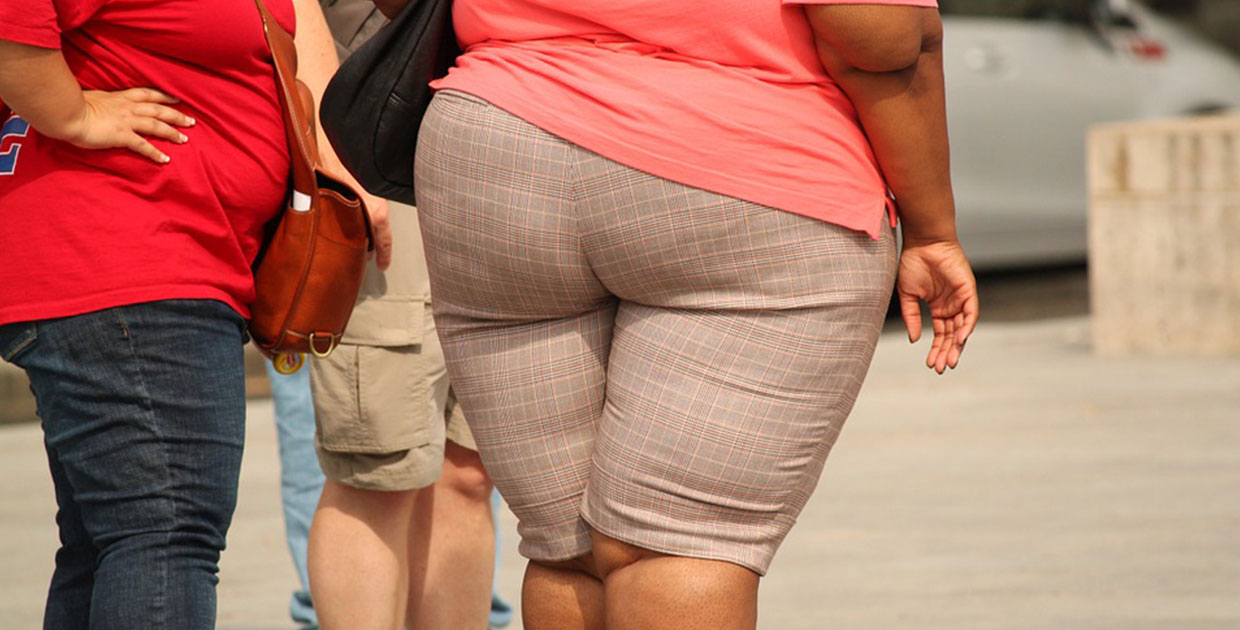 Malos Hábitos Alimenticios y Sedentarismo en la infancia favorecen niveles de obesidad en adultos