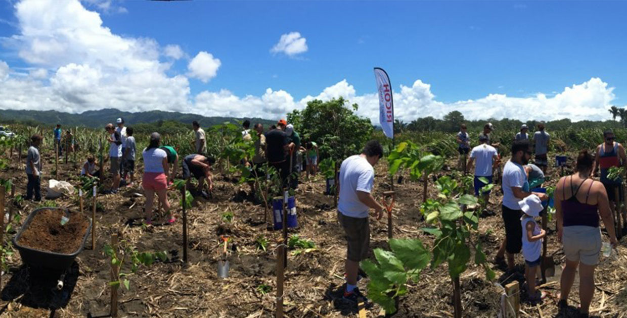 Ricoh Costa Rica promueve una cultura amigable con el ambiente en toda su operación