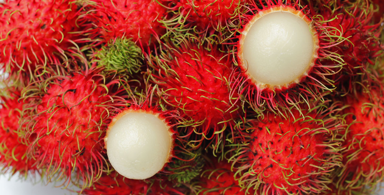 Mercado étnico de Canadá abre oportunidades para frutas exóticas de Costa Rica