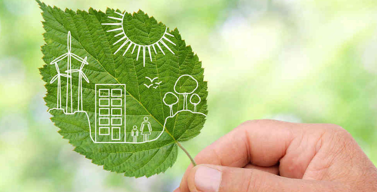 Sostenibilidad en las empresas