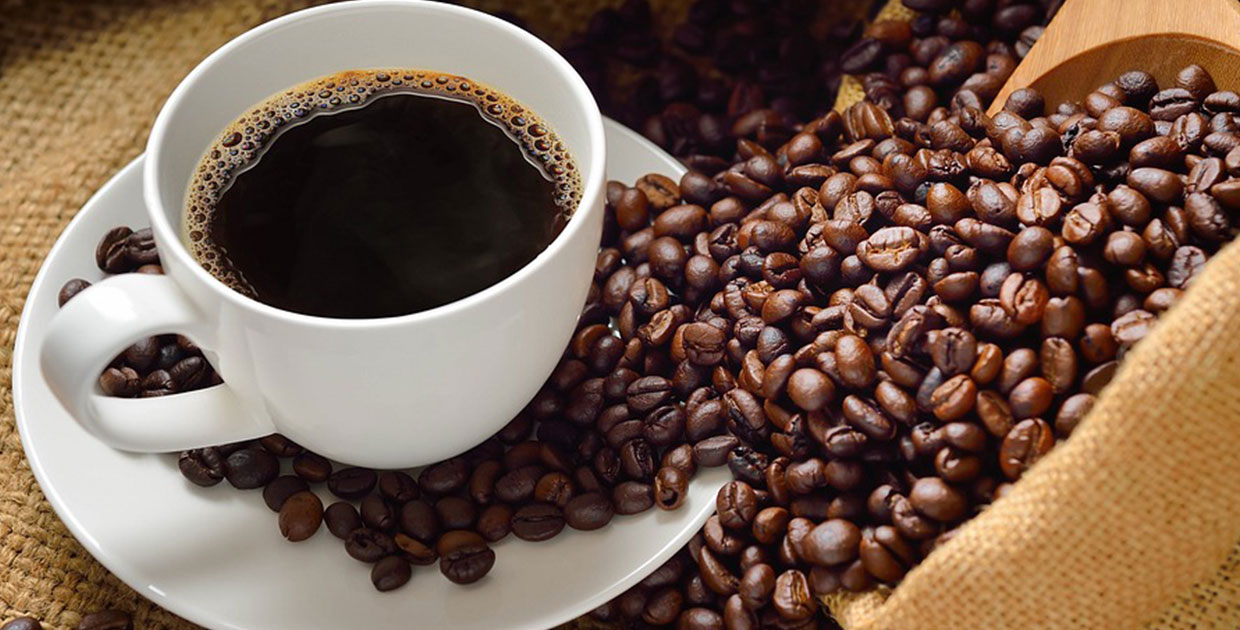 El café silvestre en el mundo está en peligro de extinción