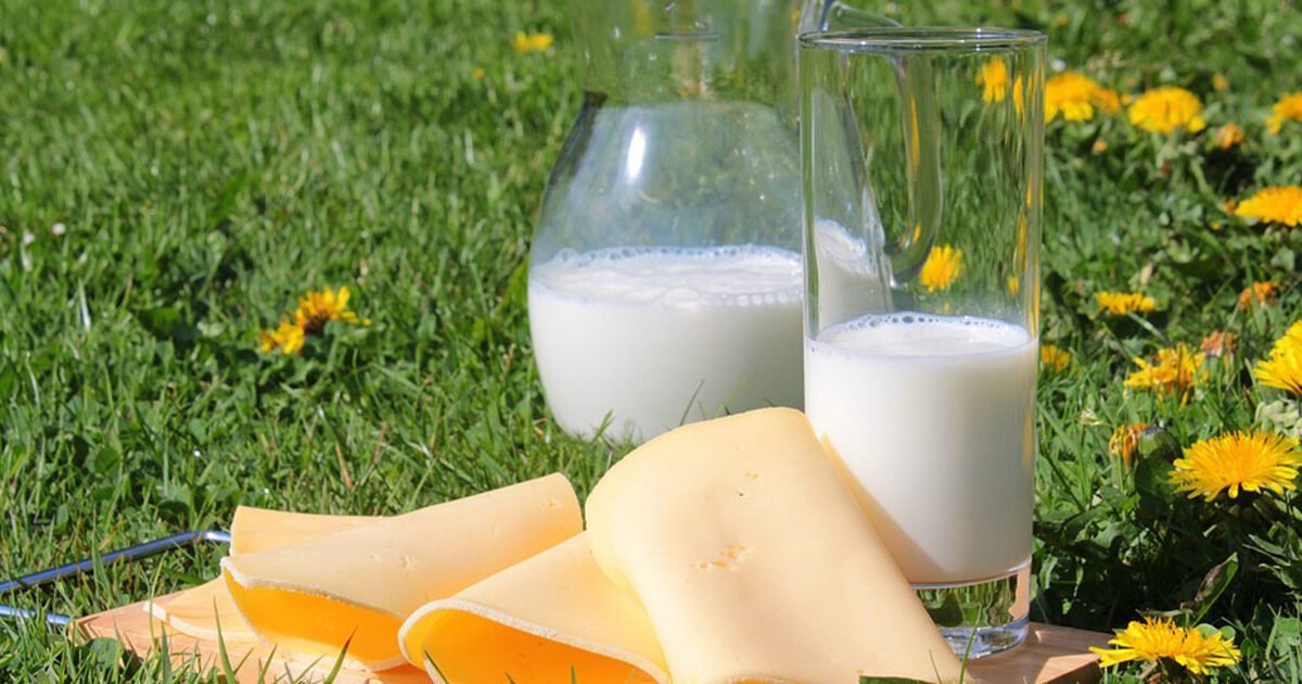 Consumo de lácteos prevendría enfermedades cardiovasculares en mujeres