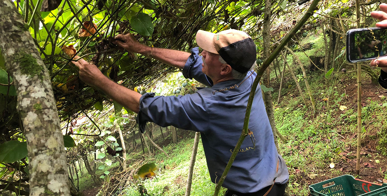 Microempresas costarricenses se potencian con los Consejos de Apoyo Rural