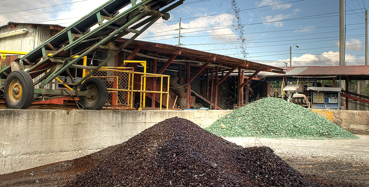 Vasos nuevos, por envases de vidrio