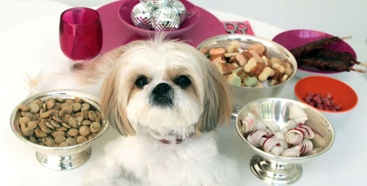 Los regalos de Navidad ideales para su mascota estarán en el Doggie Food Fest