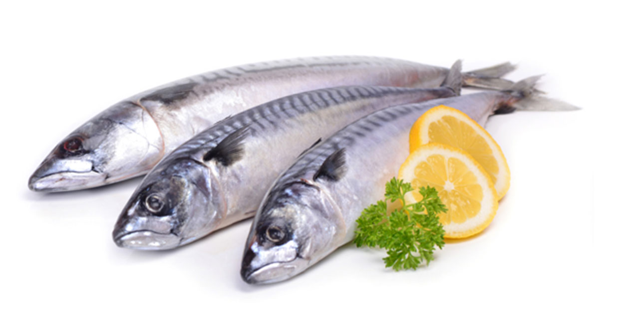 Costa Rica busca ingresar al sector pesquero de España