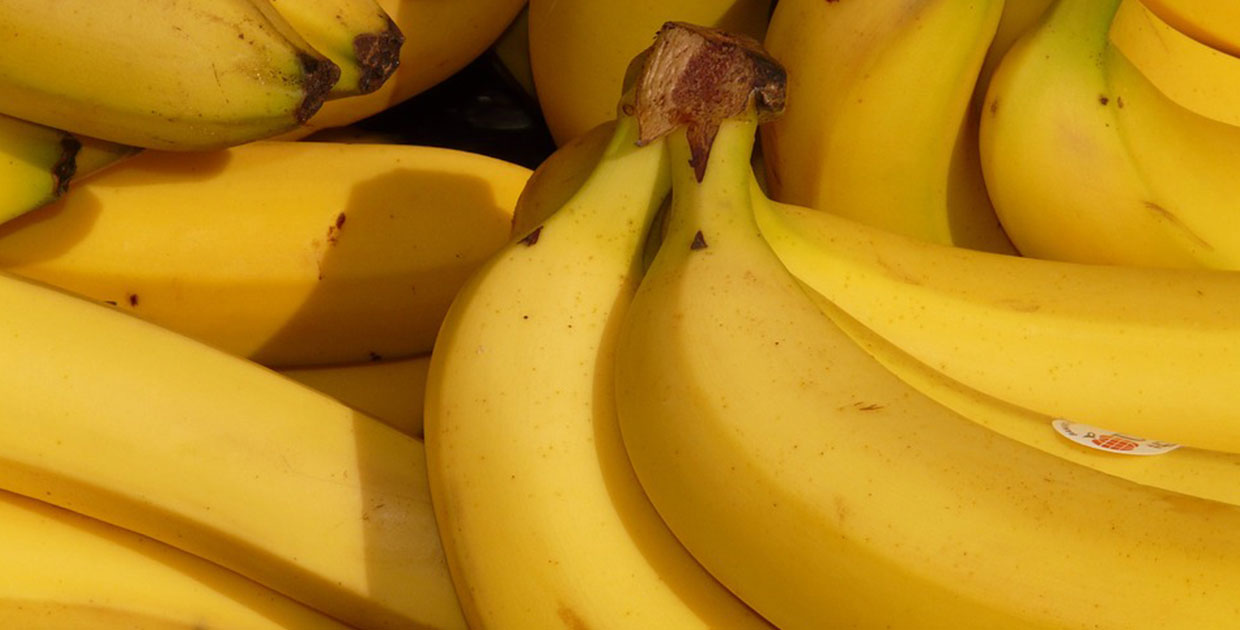 Sector bananero mundial evoluciona positivamente  pos crisis