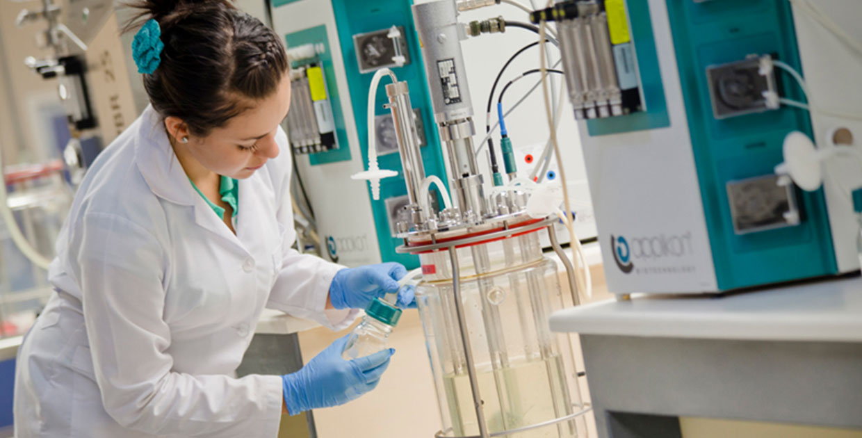 Biorremediación, ¿qué es y cuáles oportunidades tiene Costa Rica a nivel internacional?