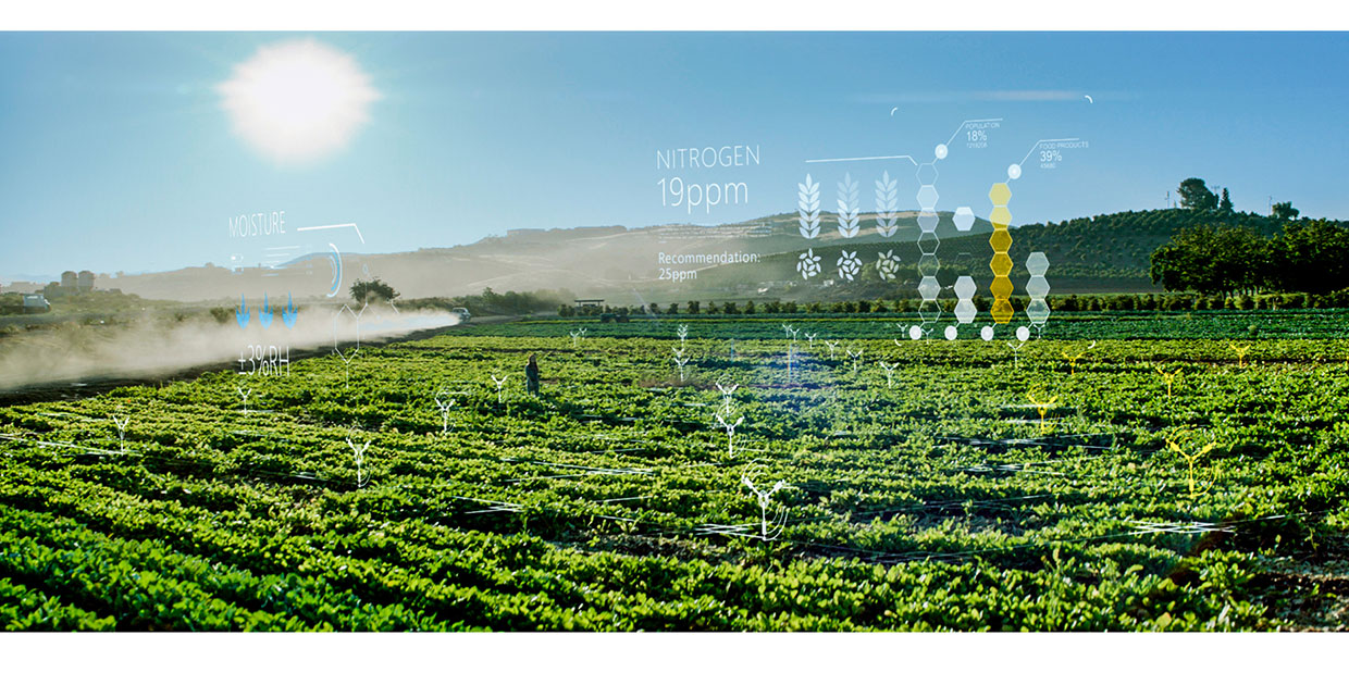 La inteligencia artificial acelera la solución de desafíos ambientales en la región