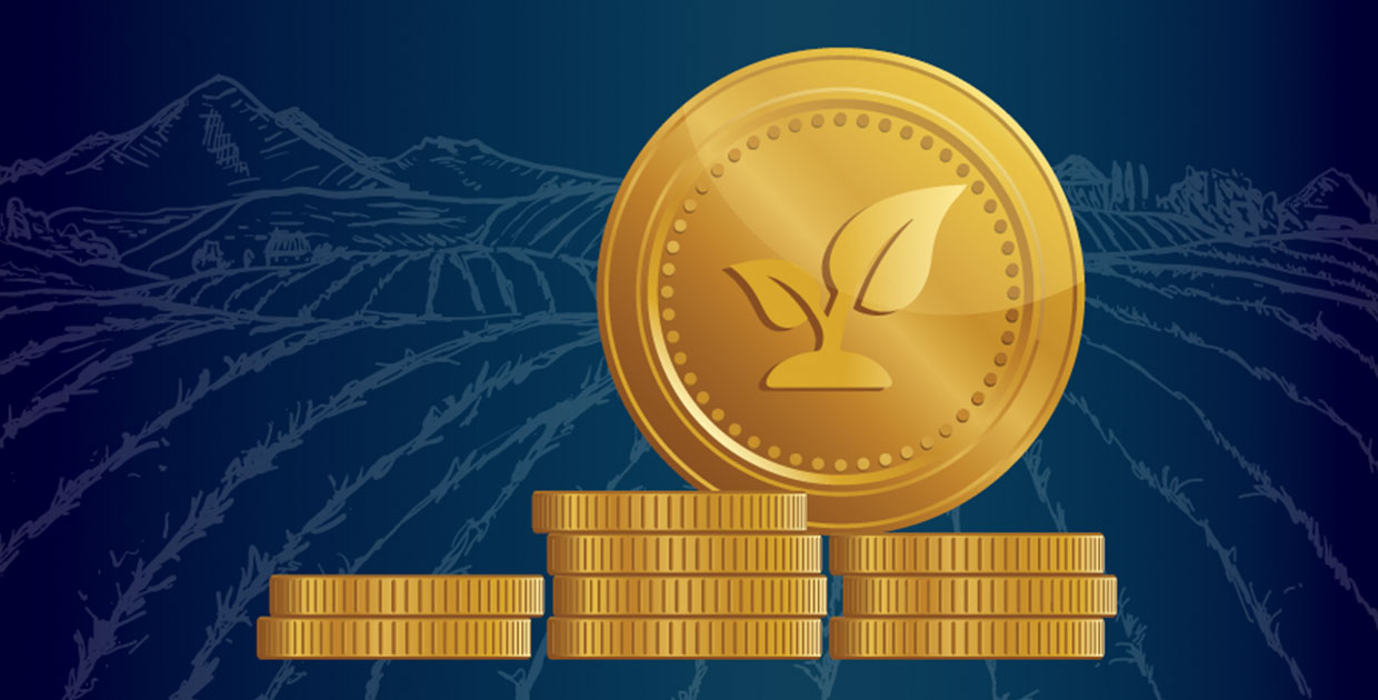 Agroindustria de Oro