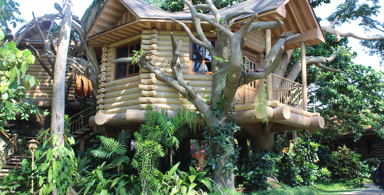 Hostal “Aldea de la Selva” abre sus puertas para que descubra una experiencia diferente