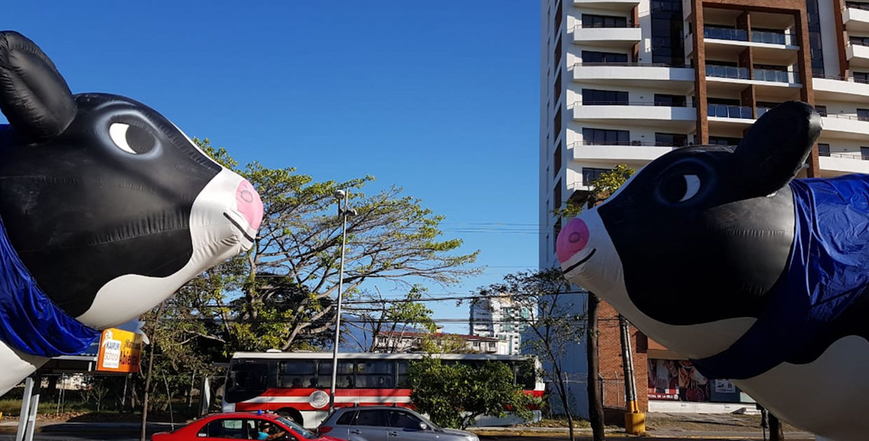 ¿Se apunta a romper un Récord Guinness?