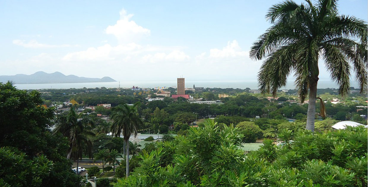 Estados Unidos compra más arneses nicaragüenses