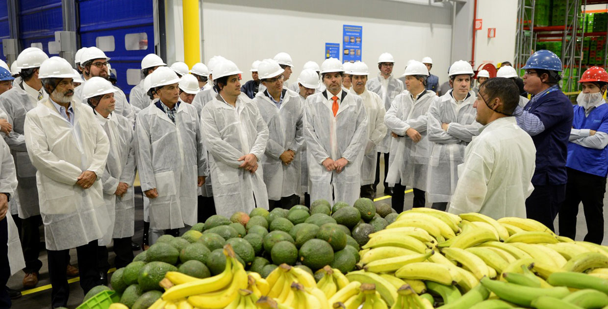 Walmart inaugura centro de distribución de productos agrícolas más moderno de Costa Rica
