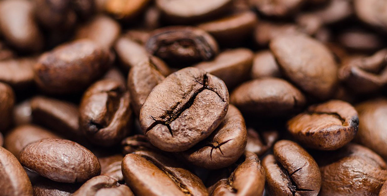 Honduras recibió US$924 millones en divisas por ventas de café