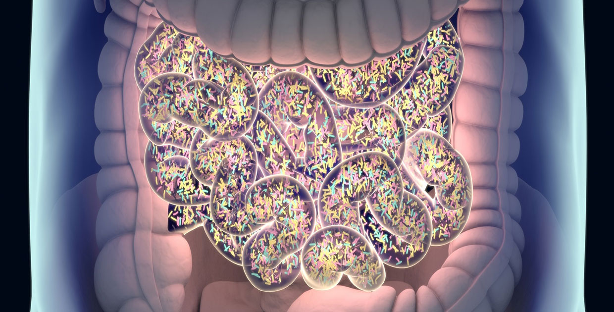 Estudio revela conexión del consumo de carne roja con el desarrollo de enfermedades del corazón