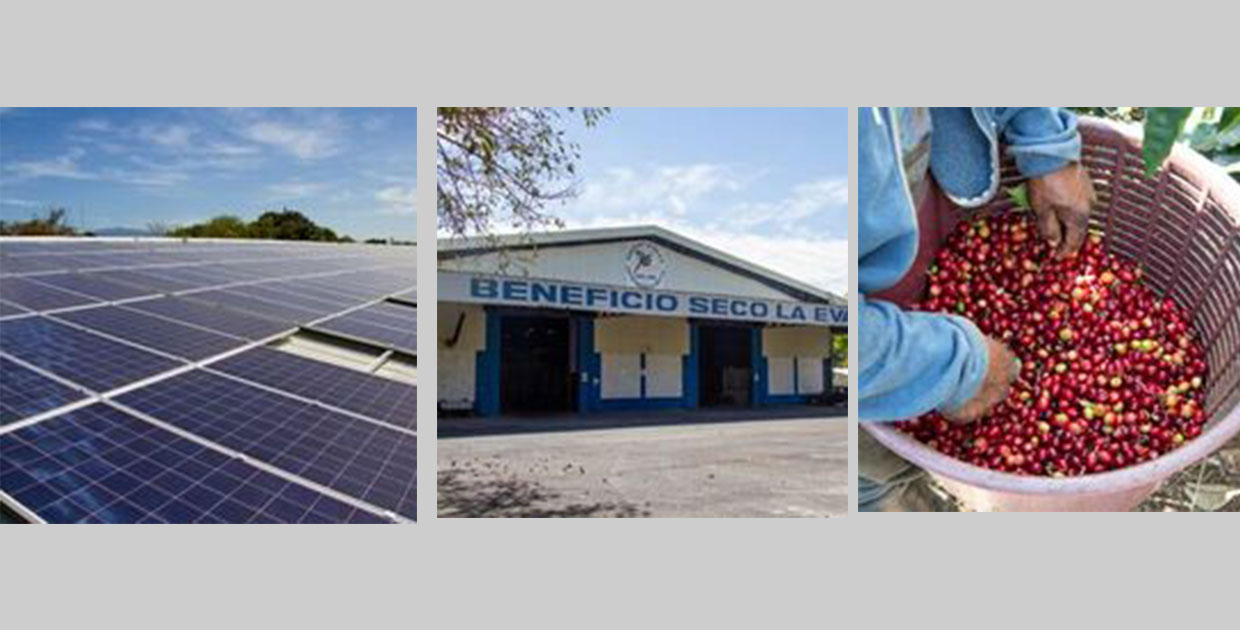 Beneficio La Eva en Costa Rica inaugura paneles fotovoltaicos para reducir huella de carbono