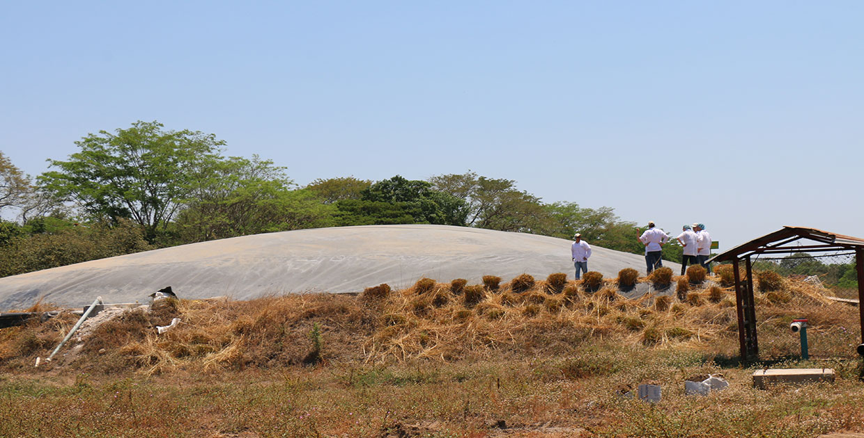Biodigestor reduce consumo de bunker y leña en Nicaragua