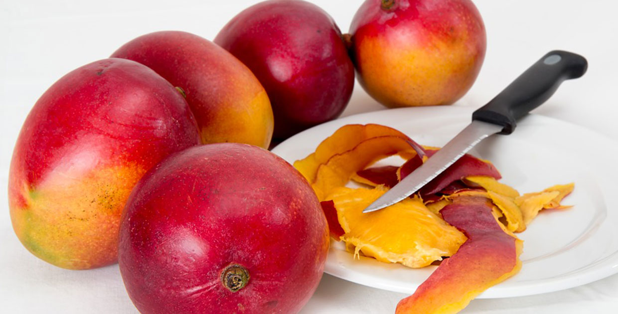 Un 15% aumenta la cosecha de mango en Guatemala