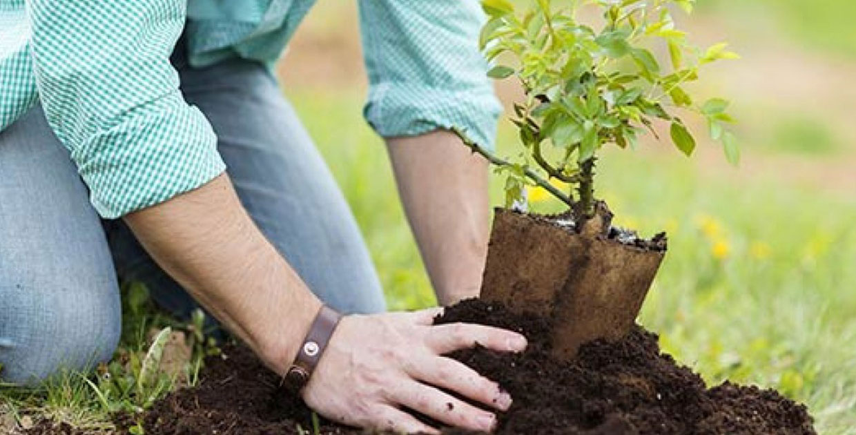 Universidad costarricense impulsa proyectos para involucrar a sus estudiantes con Conciencia Ambiental