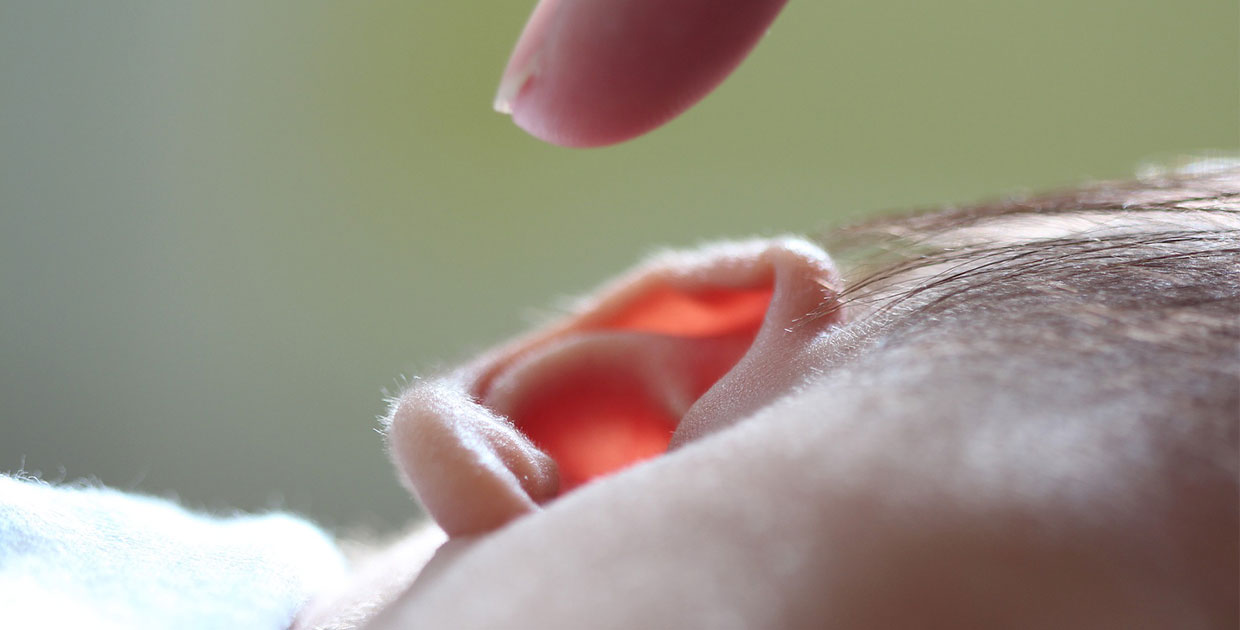 ¿Podrán las células madre aliviar algunos casos de pérdida de audición?