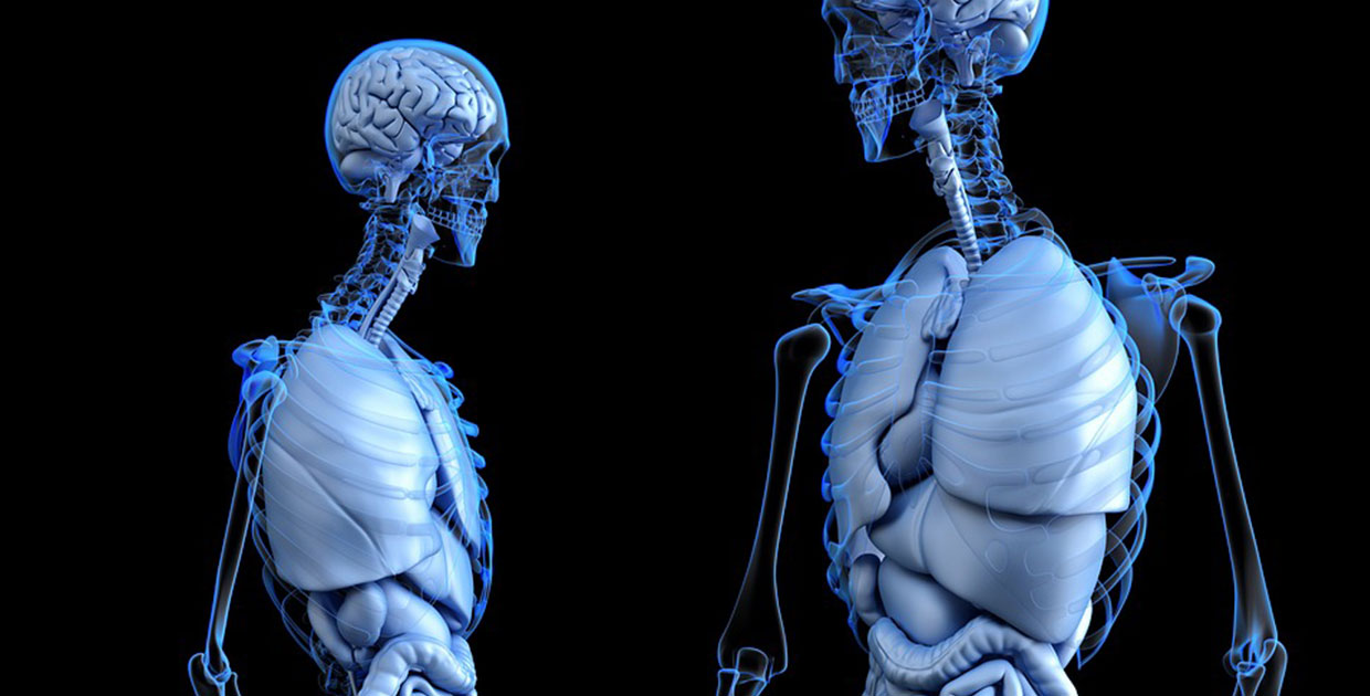 Especialistas indican que los edulcorantes no calóricos no tienen impacto en el microbiota intestinal