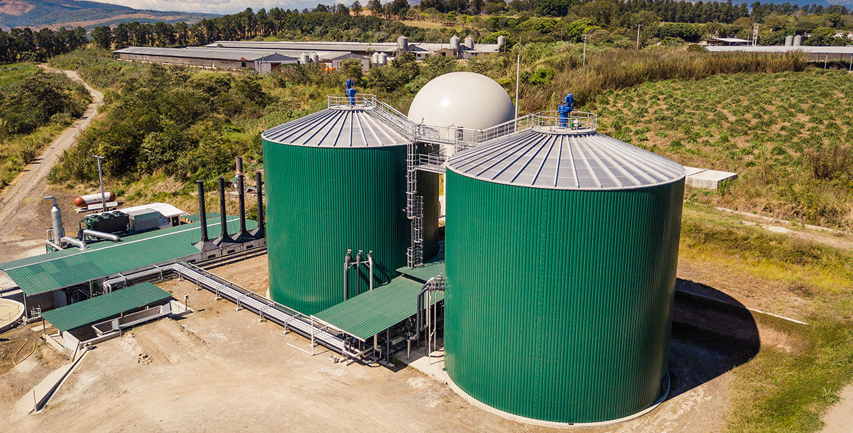 Agrogeneradora invierte US$ 4,7 millones en Guatemala