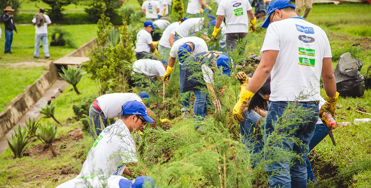 Walmart redujo consumo de electricidad en más de 1,5 millones de kilowatt-hora en Guatemala en últimos 3 años