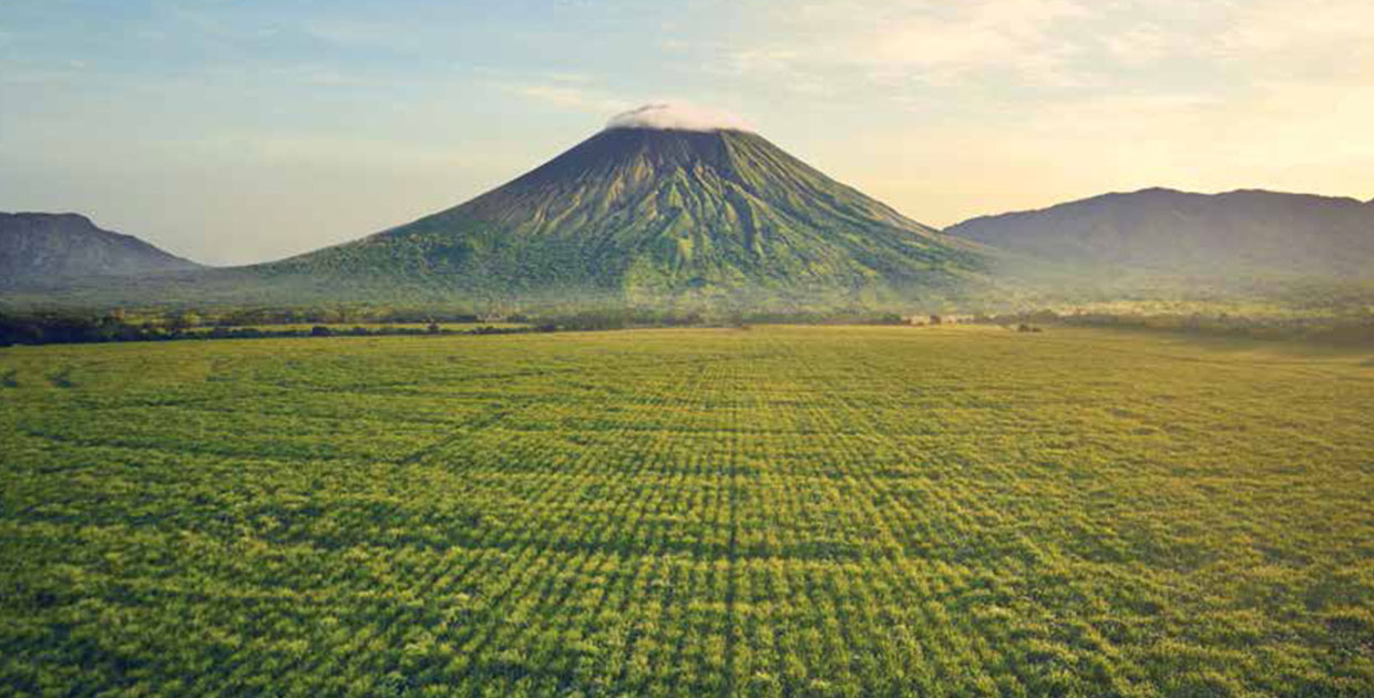 El ron emblemático de Nicaragua conquista el mundo