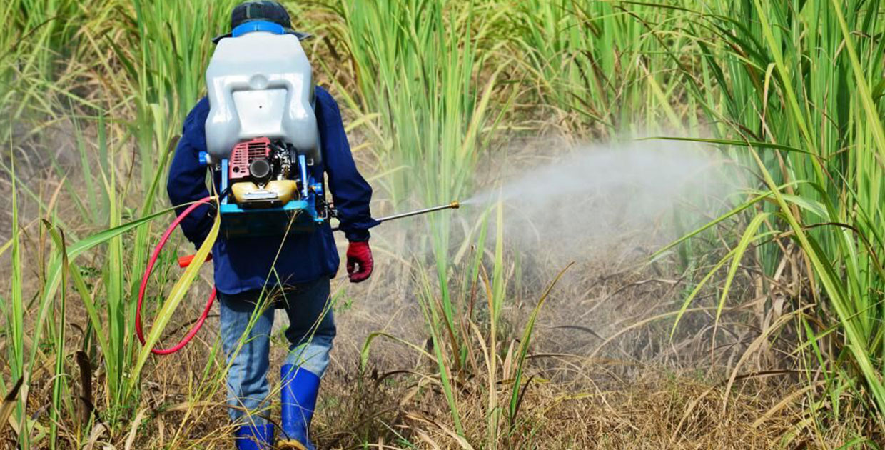 Centroamérica importó US$530 millones en agroquímicos