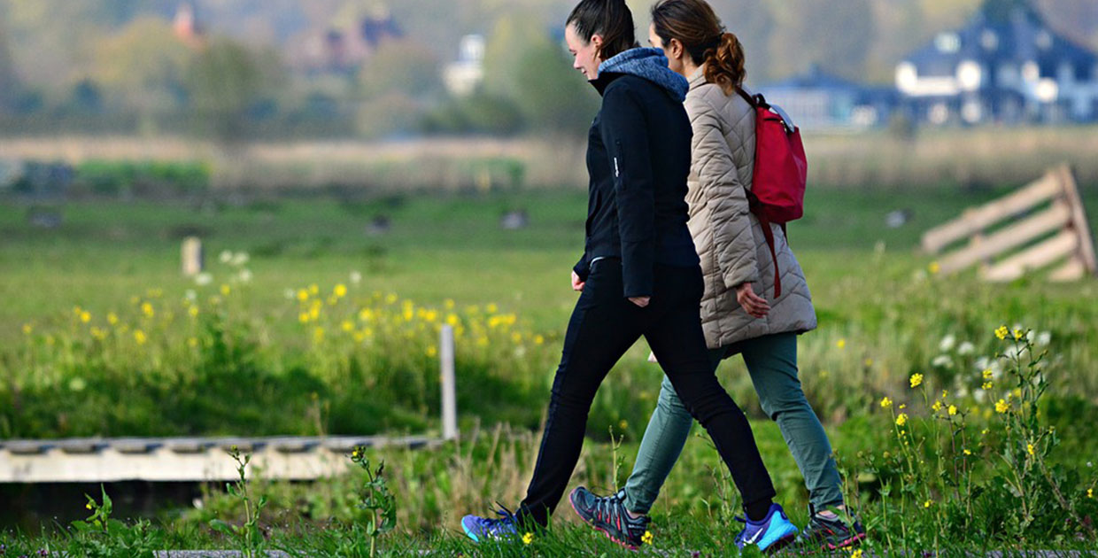 ¿Qué son los paseadores de personas?