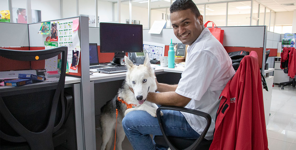 Nestlé Panamá primera oficina en Centroamérica en participar del Purina Pets at Work