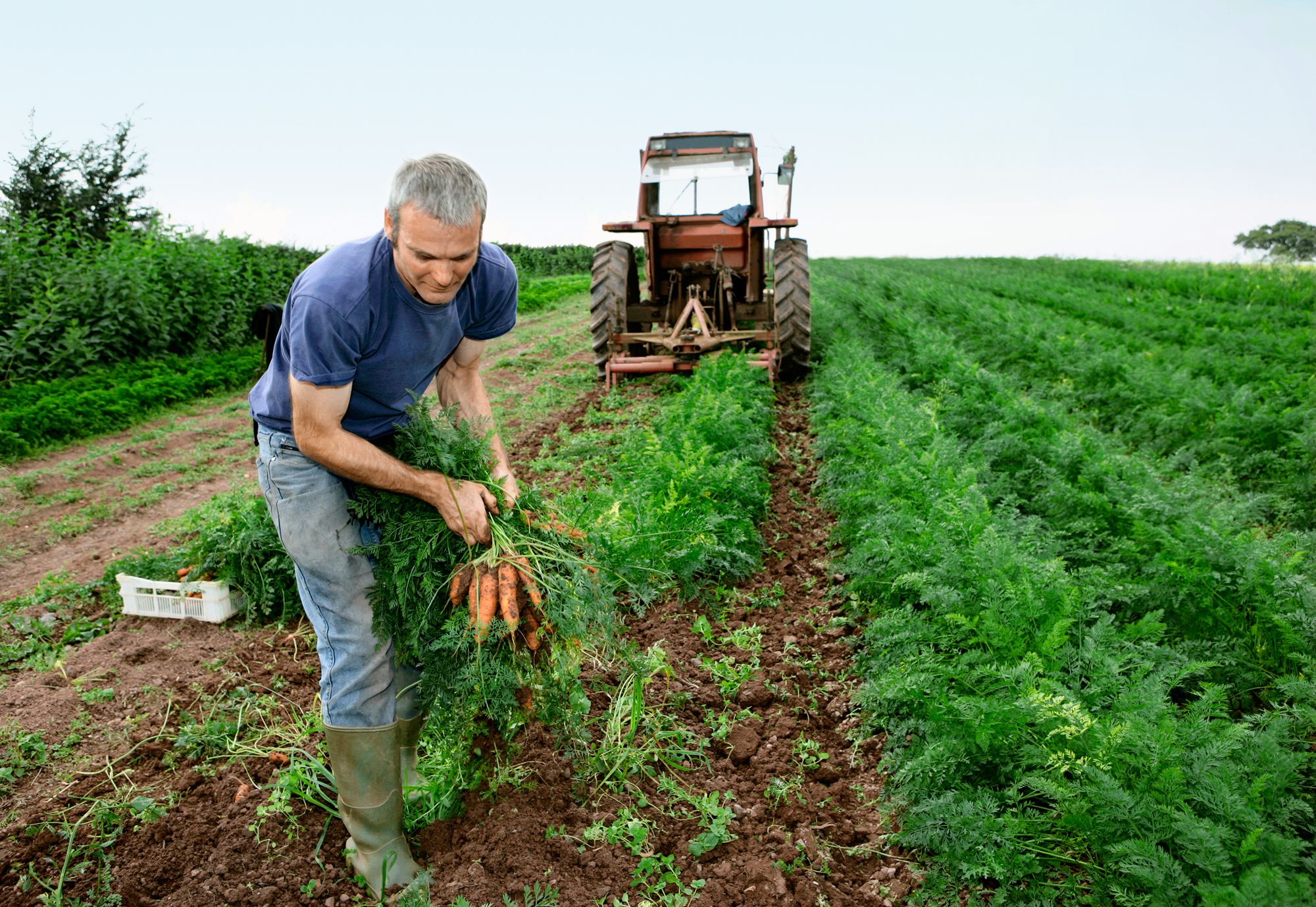 Startups desarrollan tecnología verde en el primer hackathon de Costa Rica