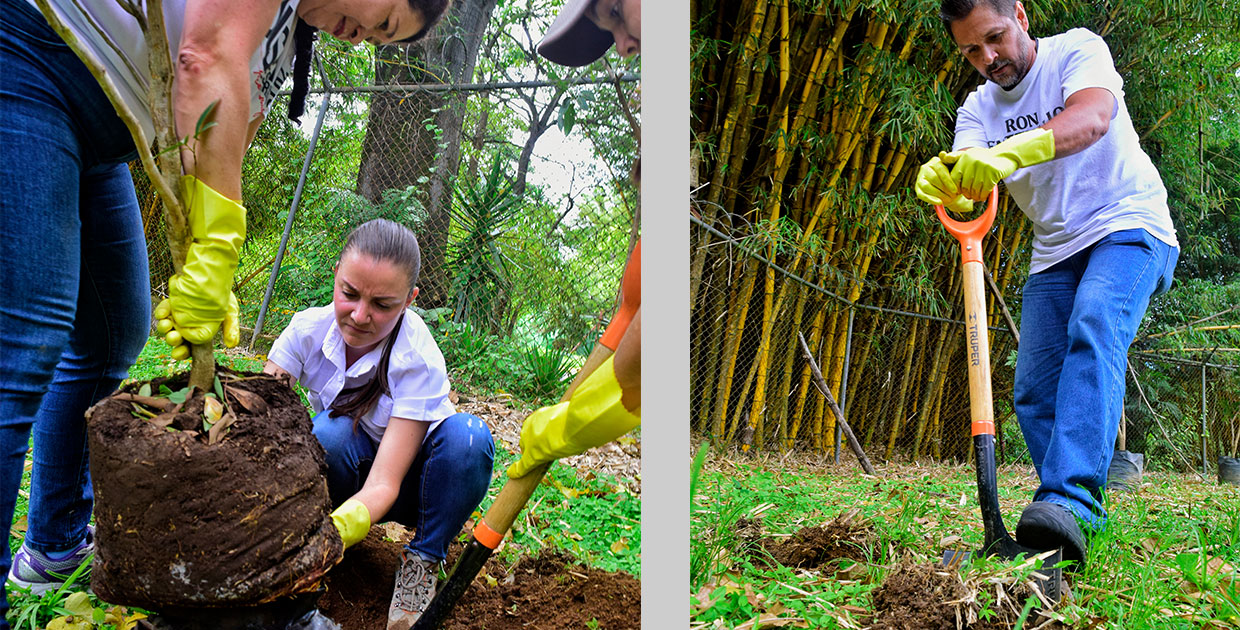 Centenario Internacional, una empresa con sentido social