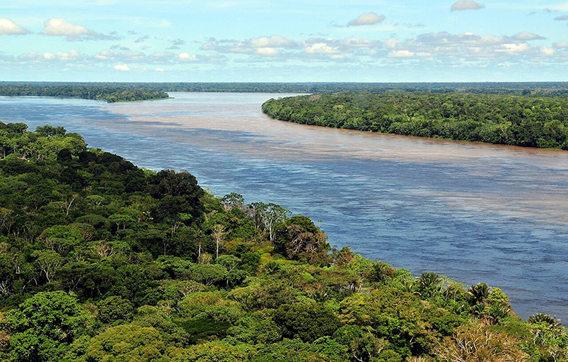 ¿Por qué es tan importante el Amazonas?
