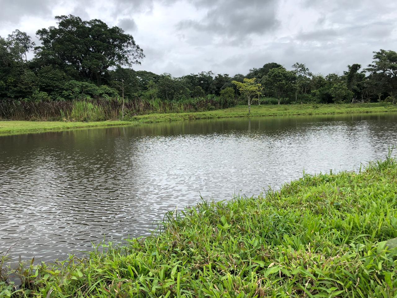 Comunidades costarricenses se benefician del proyecto Siembra y Cosecha de Agua para enfrentar el cambio climático